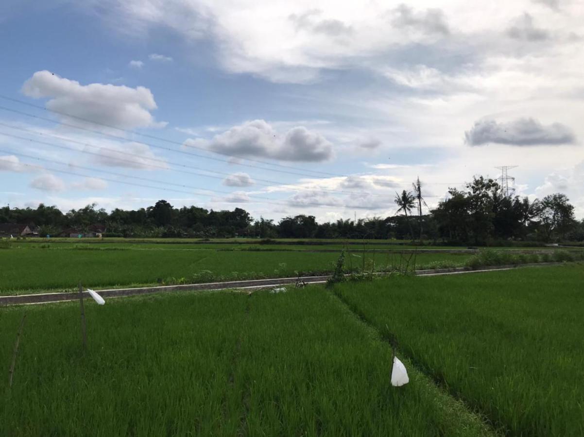Legiyem Homestay Jogjakarta Buitenkant foto